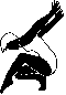 Abteilung Damengymnastik
